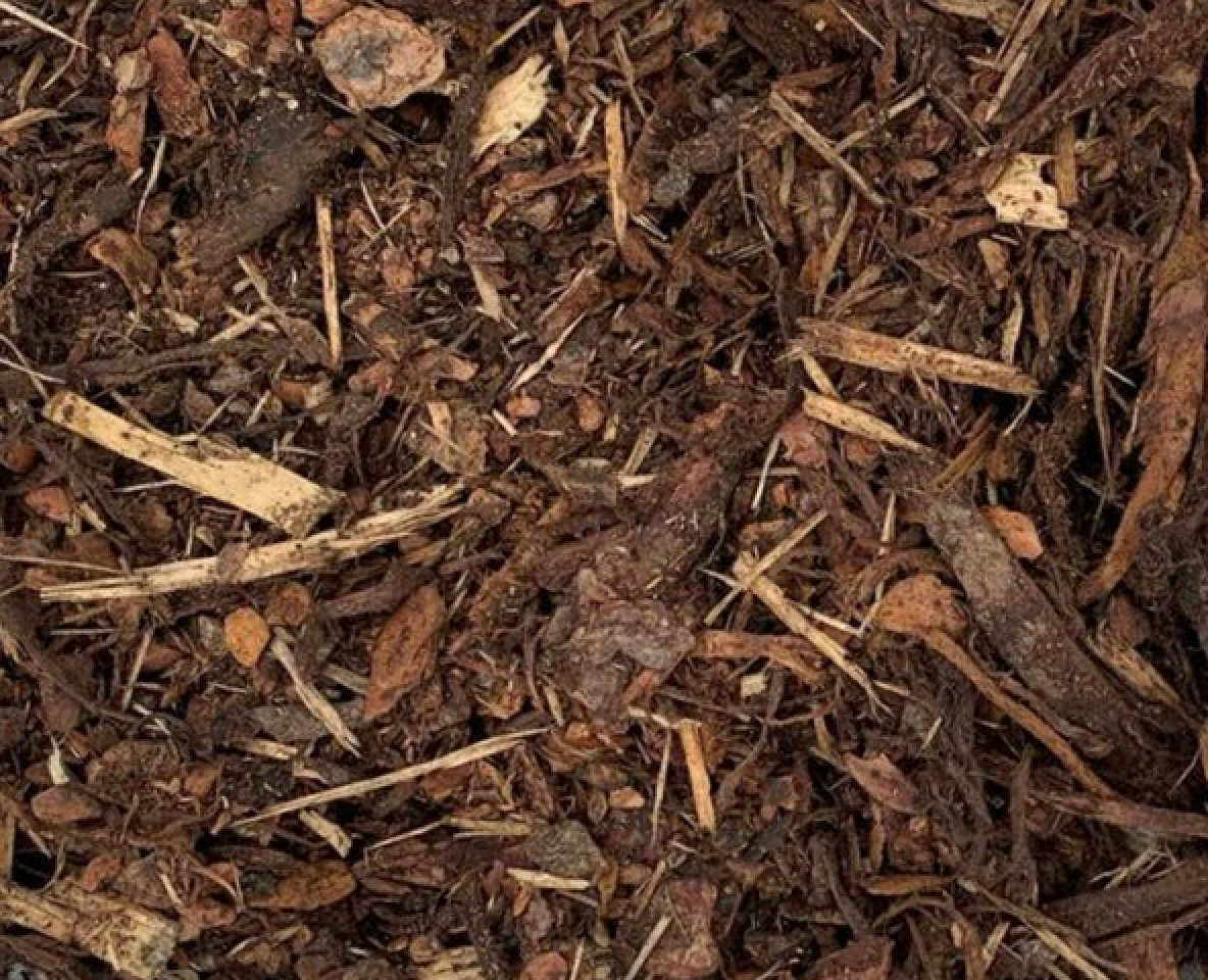 CANDA RED MULCH