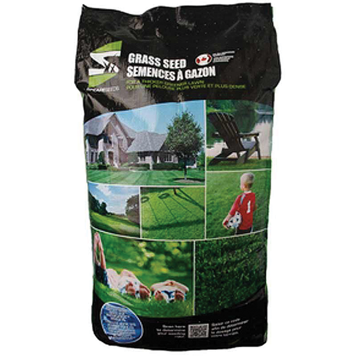OVER-SEEDING GRASS SEED