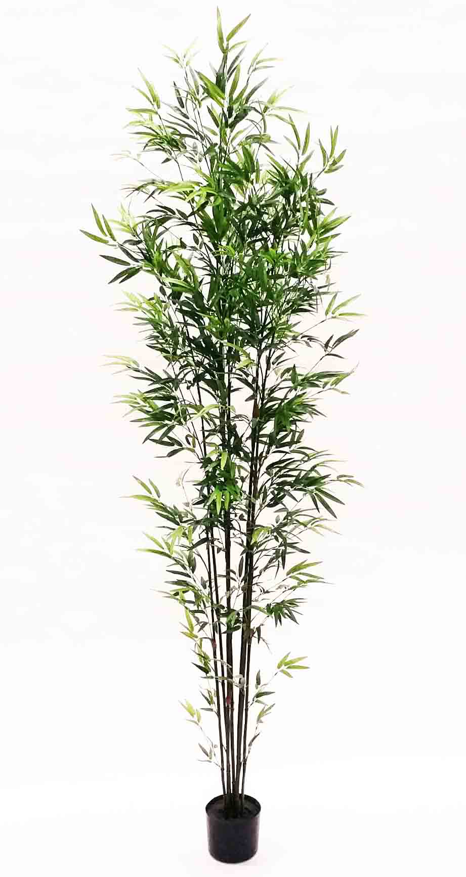 7FT MINI BAMBOO TREE